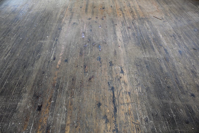 PetSkull Brewing Company 